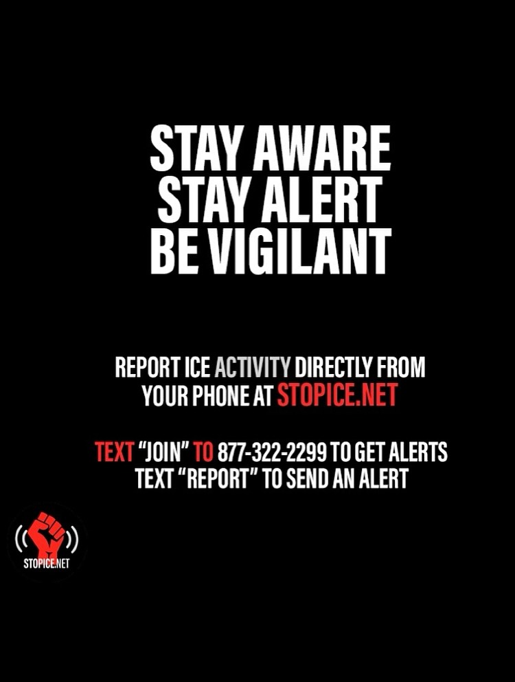 @stopicenet's Instagram post (slide 7 of 7)