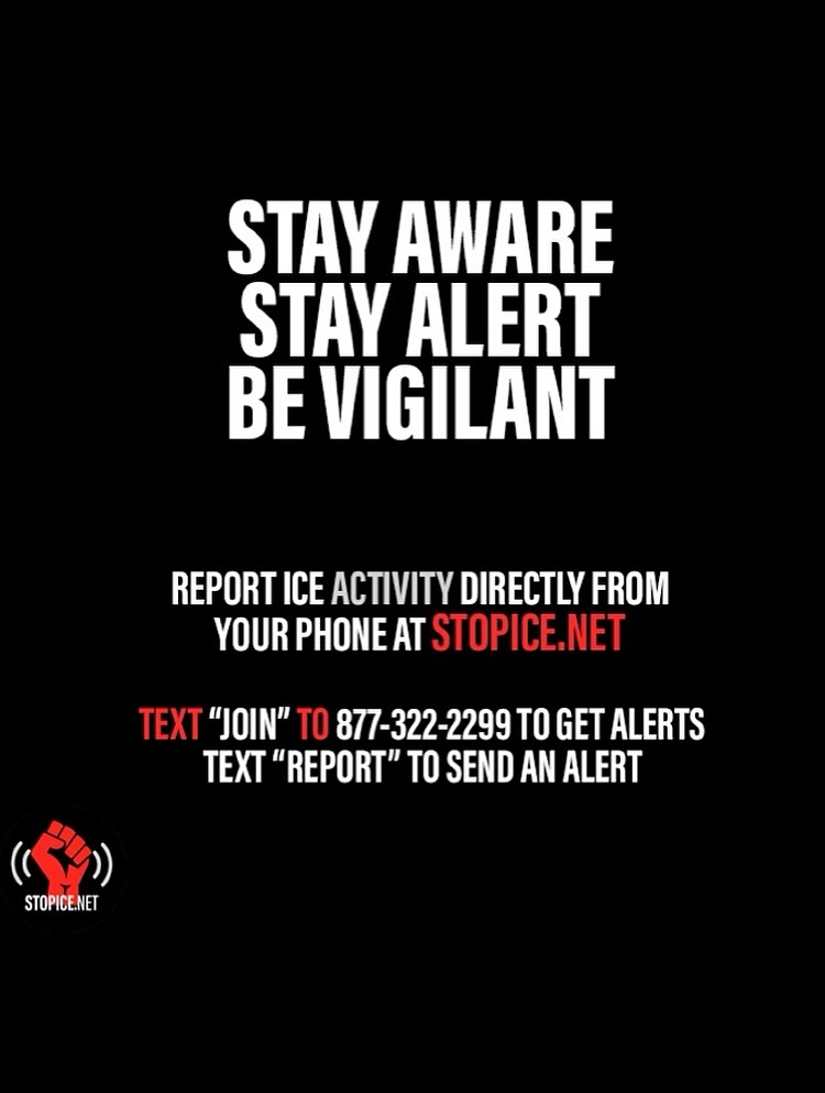 @stopicenet's Instagram post (slide 8 of 8)