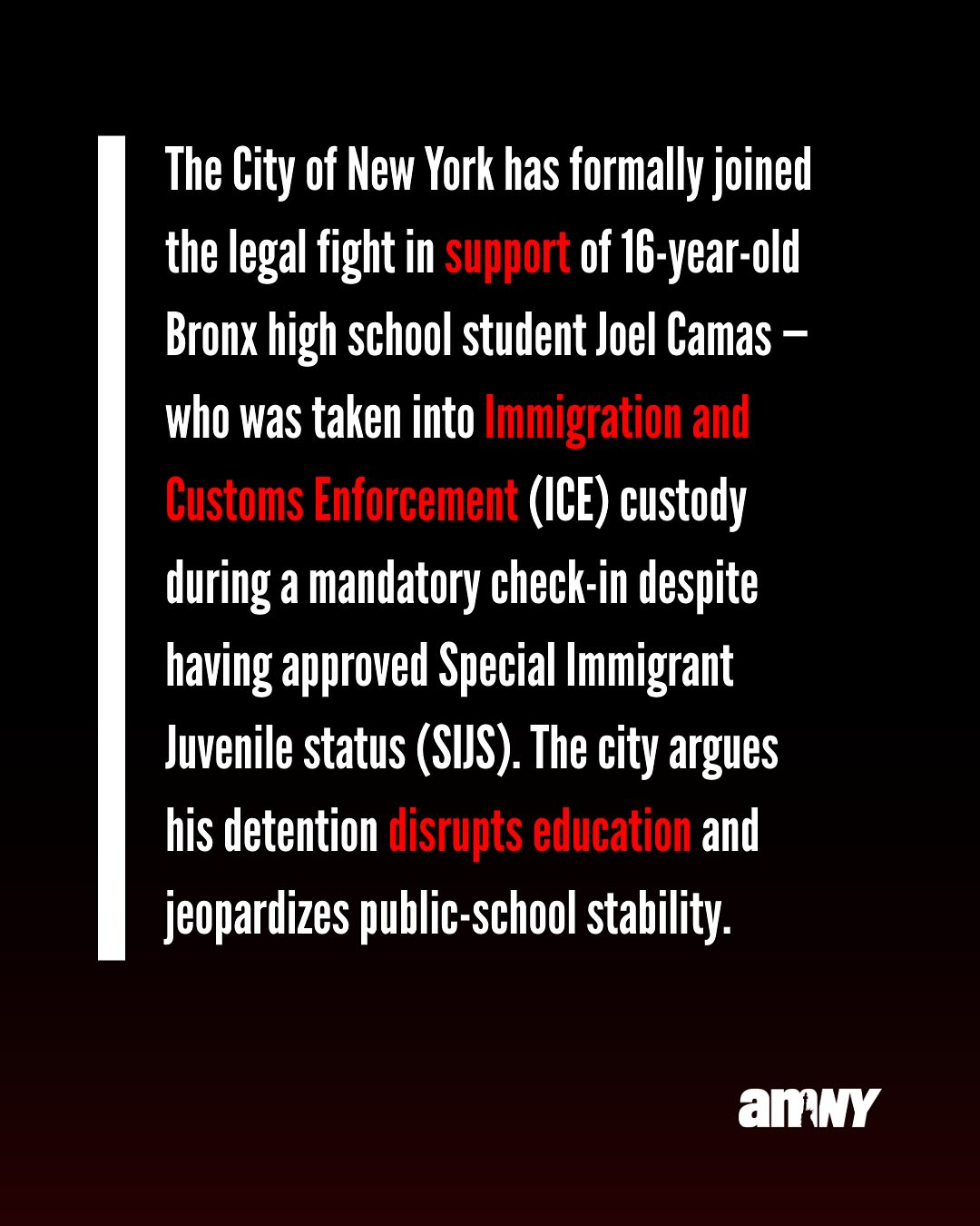 @amnewyork's Instagram post (slide 2 of 4)
