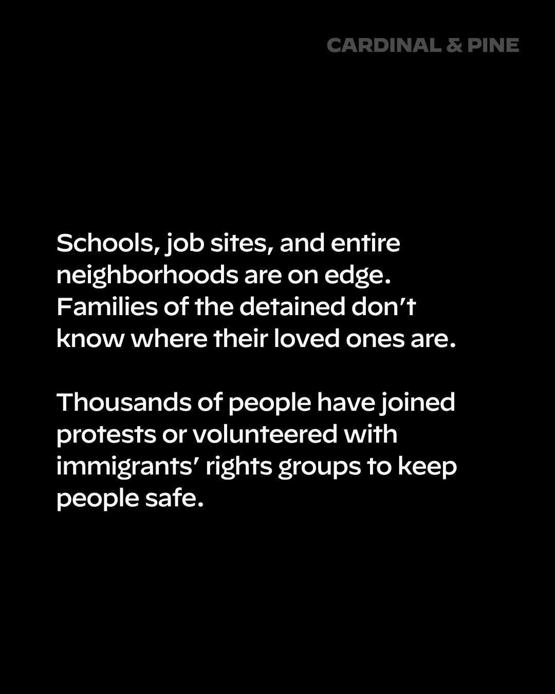 @cardinalandpine's Instagram post (slide 4 of 5)