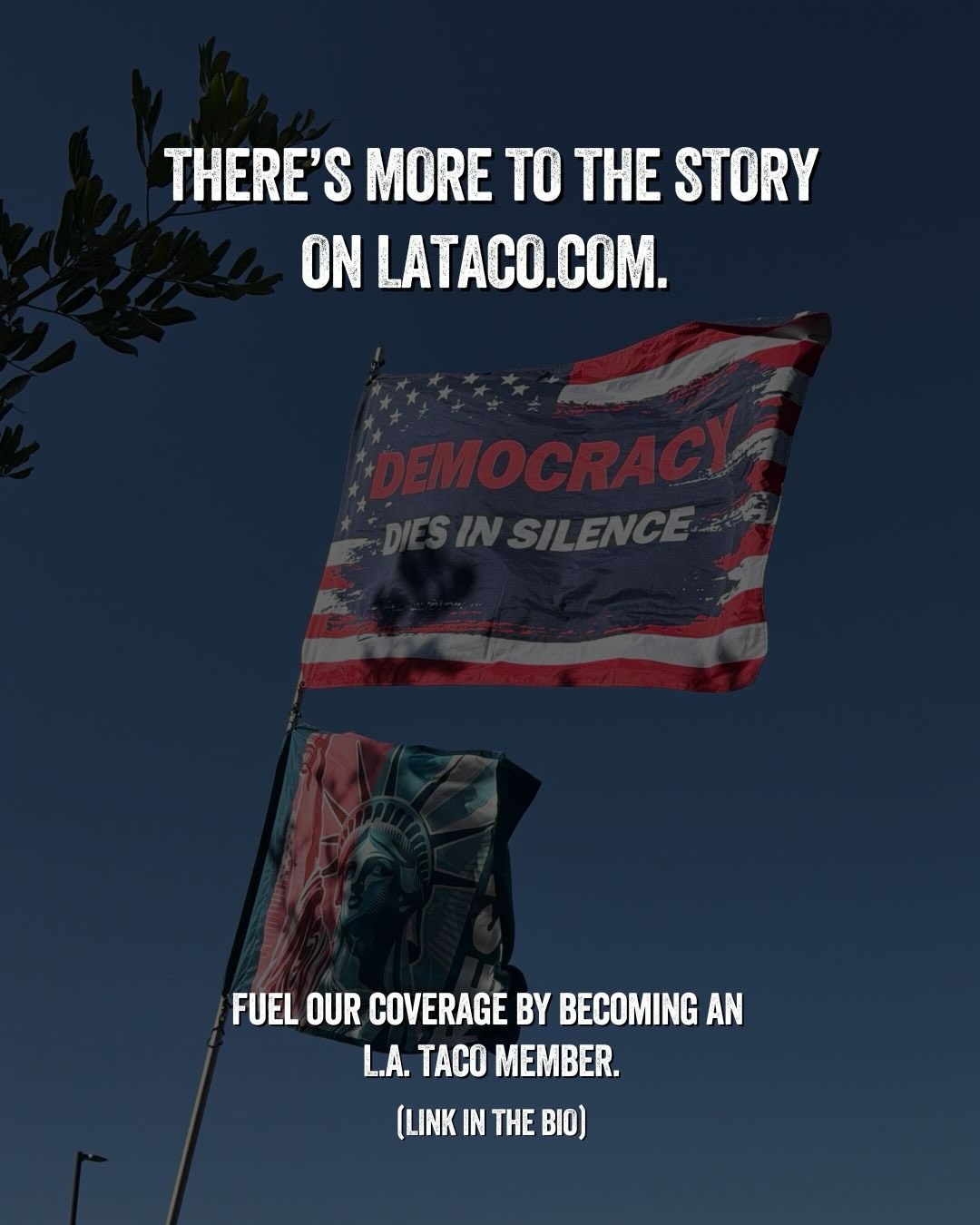 @lataco's Instagram post (slide 13 of 13)