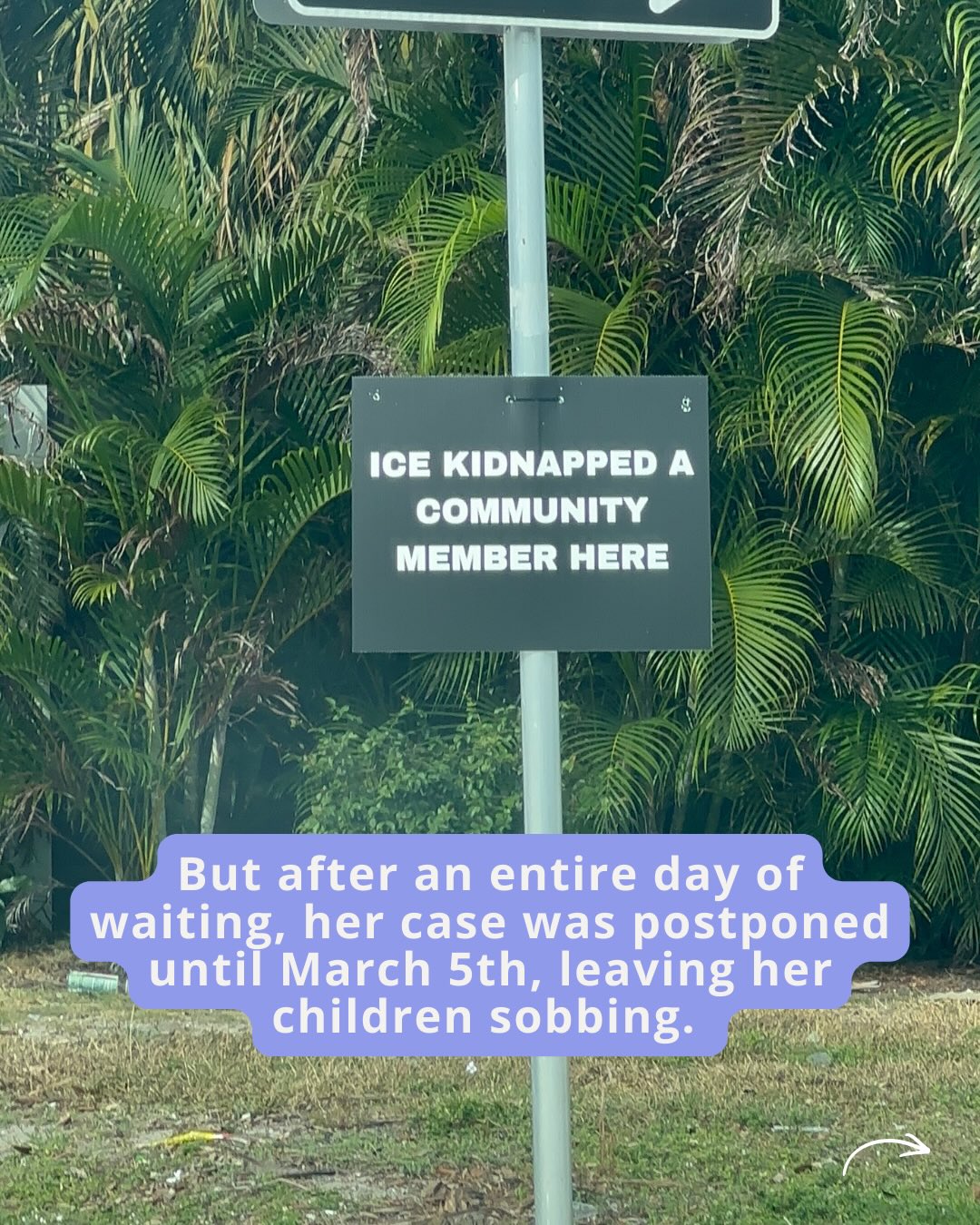 @sara_wiles's Instagram post (slide 13 of 20)