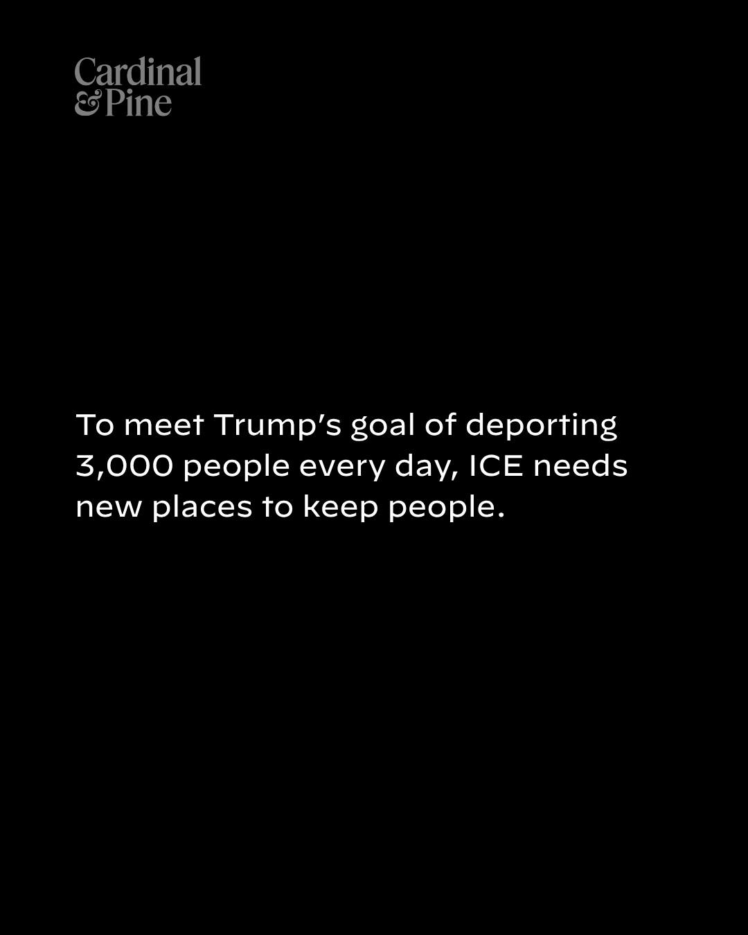 @cardinalandpine's Instagram post (slide 2 of 4)