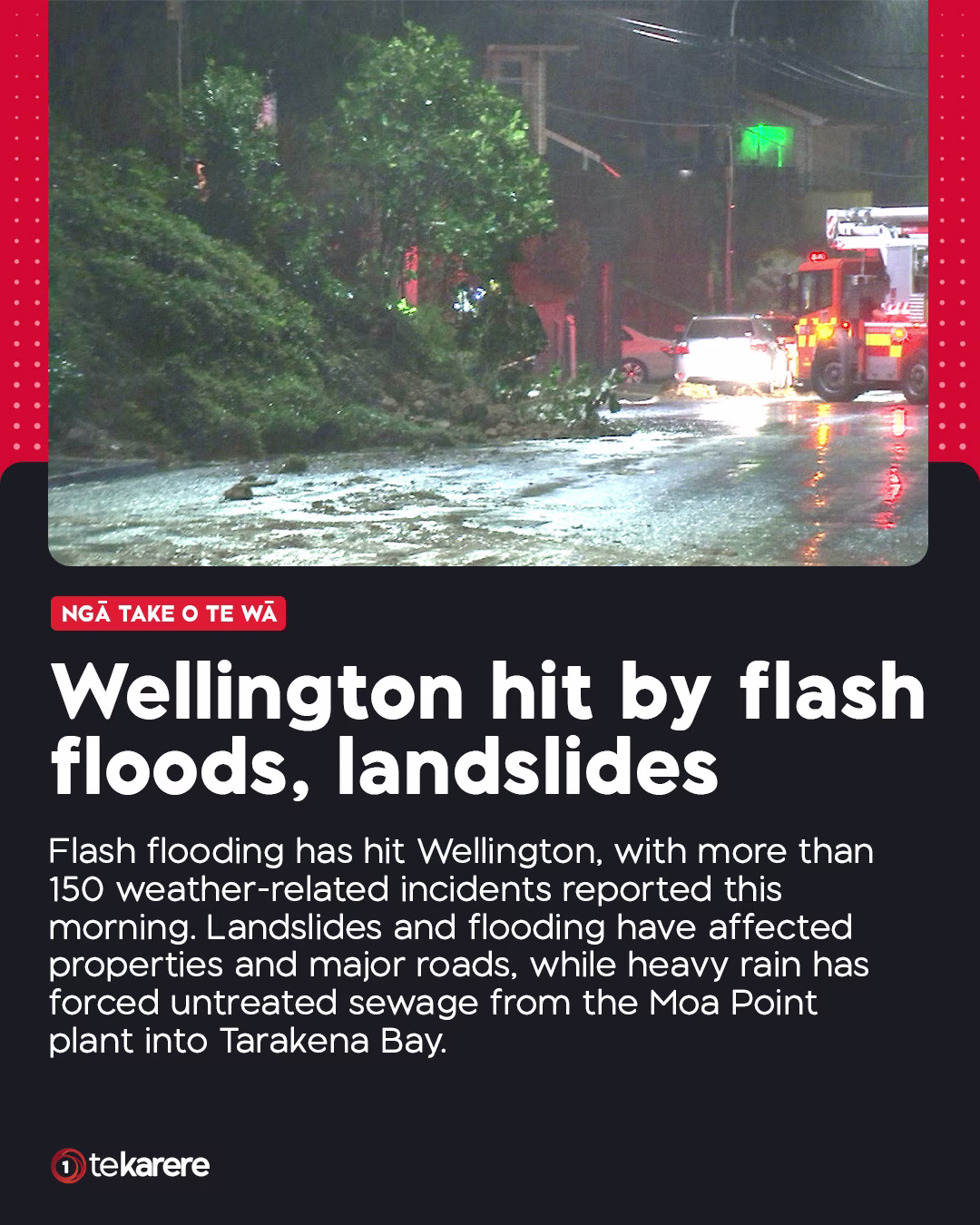 @tekareretvnz's Instagram post (slide 3 of 3)