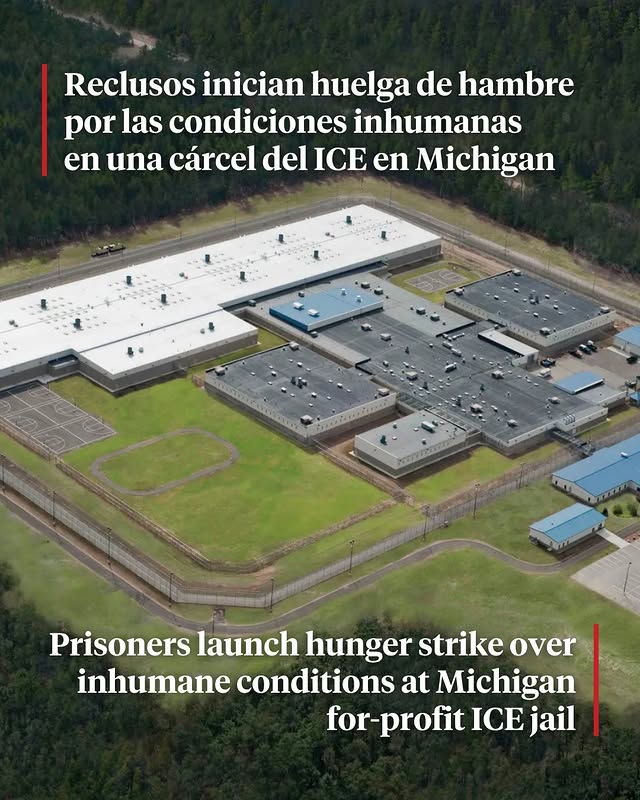 @democracynowes's Instagram post