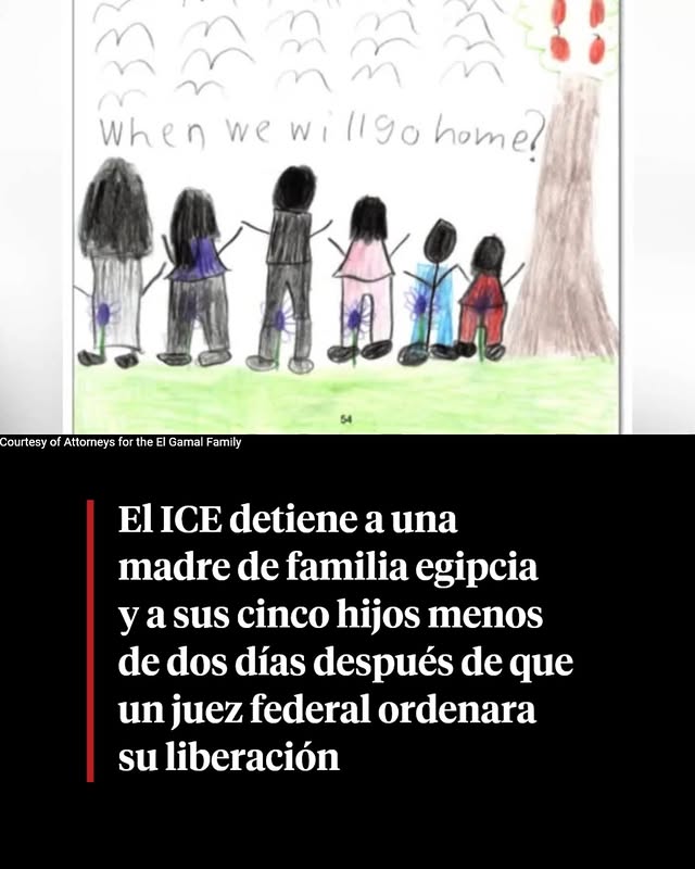 @democracynowes's Instagram post