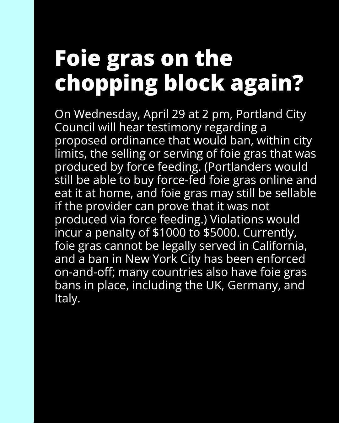 @portlandmercury's Instagram post (slide 3 of 7)
