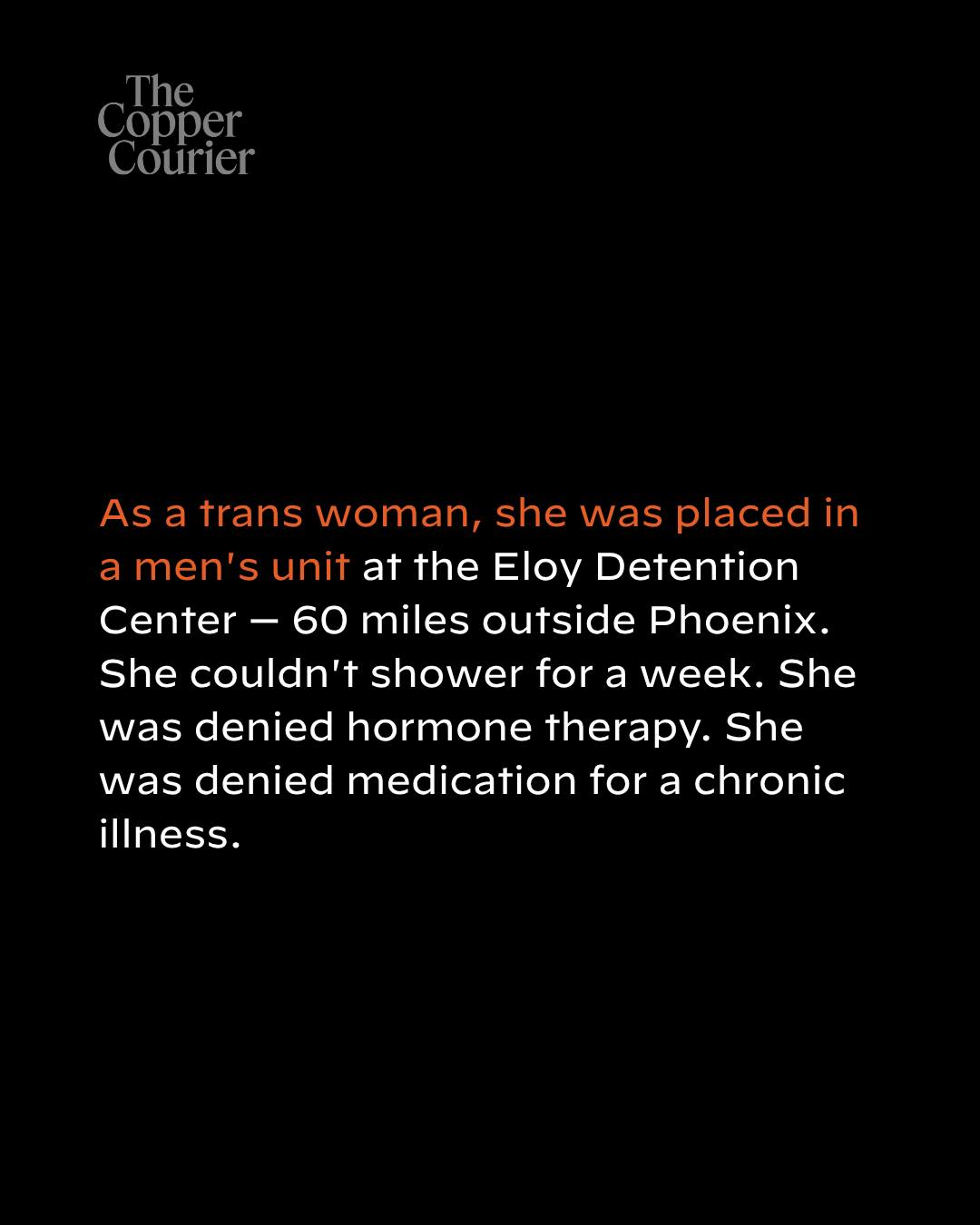@coppercourier's Instagram post (slide 4 of 8)