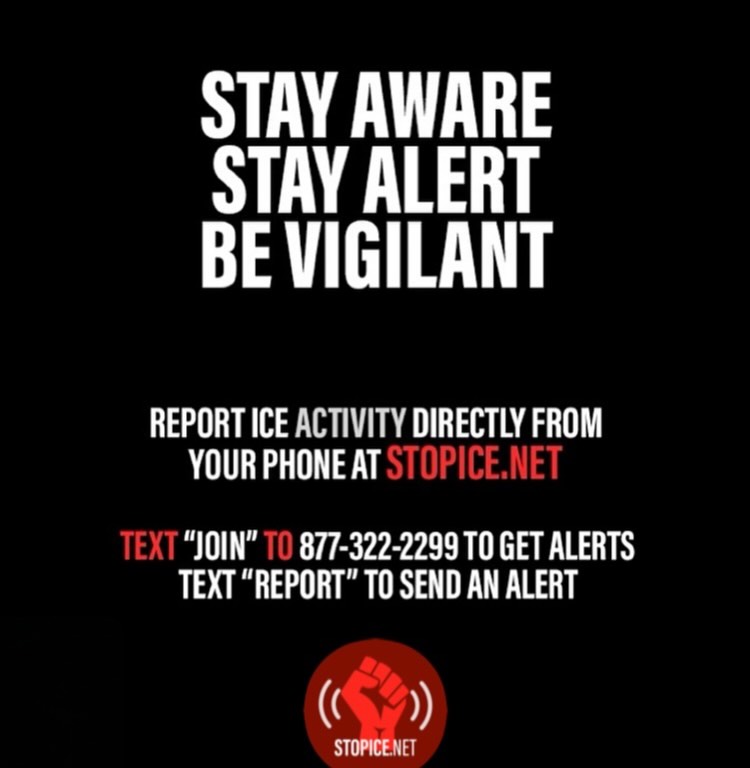 @stopicenet's Instagram post (slide 5 of 5)