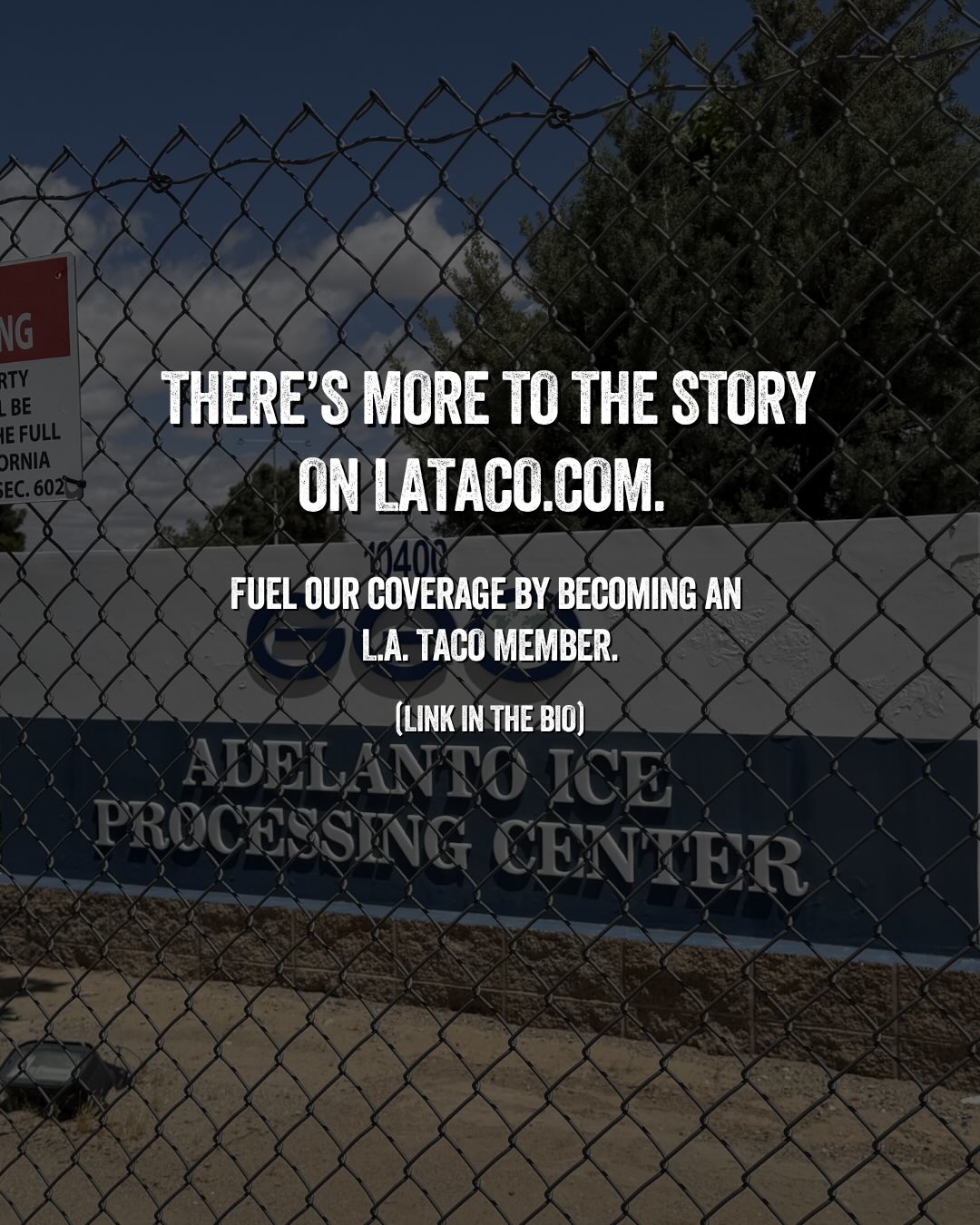 @lataco's Instagram post (slide 8 of 8)