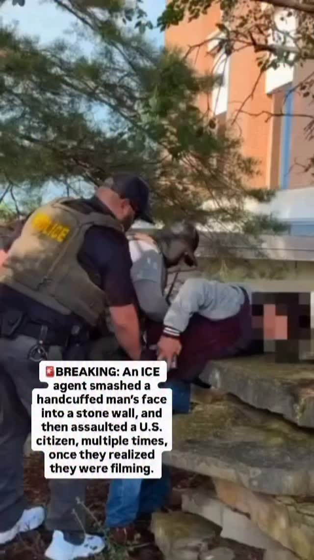 ICE agent slammed handcuffed man's face into wall, assaulted bystander recording, St. Charles
