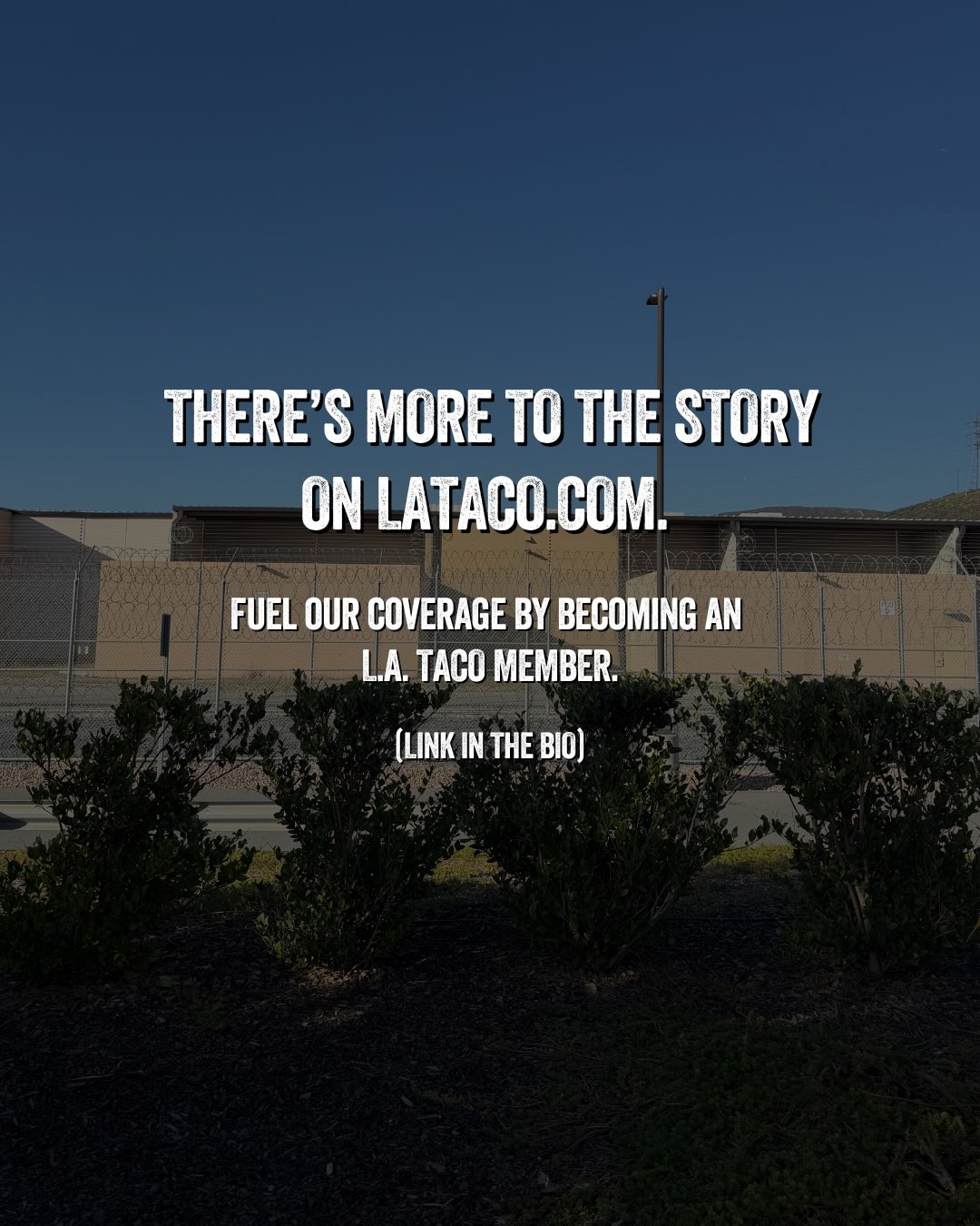 @lataco's Instagram post (slide 8 of 8)