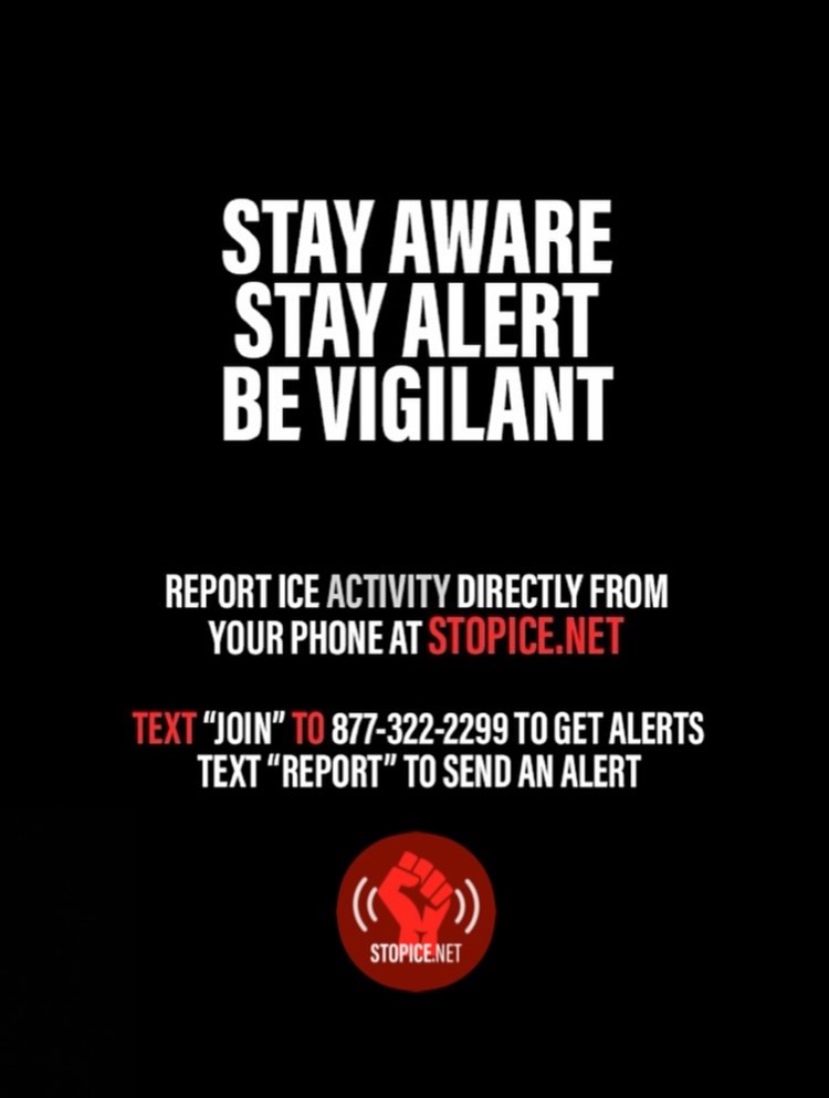 @stopicenet's Instagram post (slide 4 of 4)