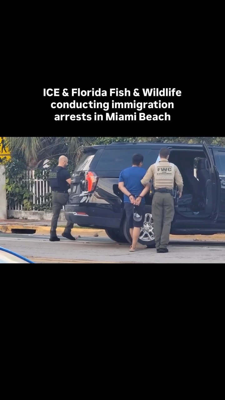 Man detained by ICE and Florida Fish & Wildlife officers in Miami Beach