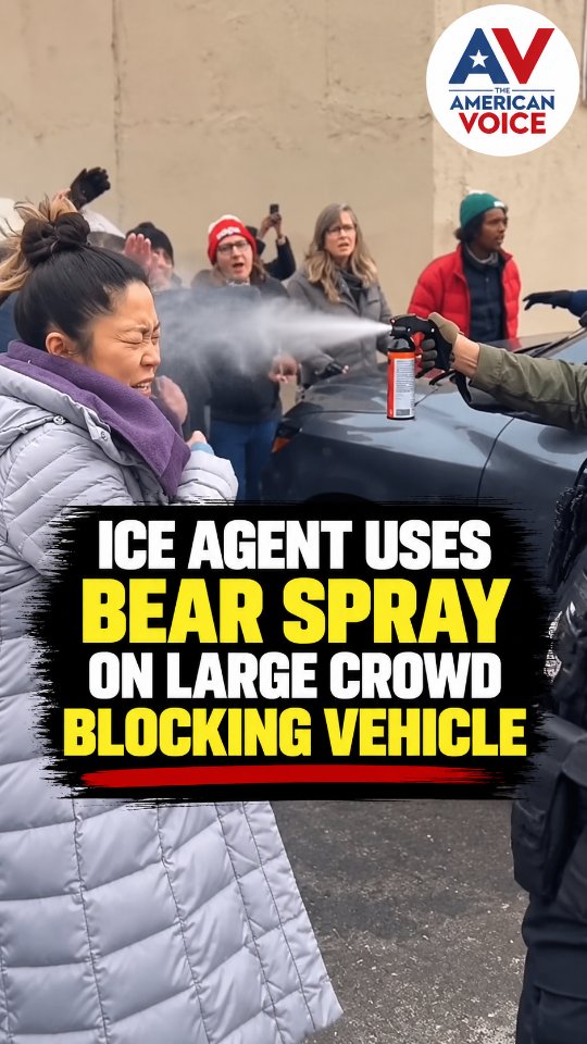 ICE agent pepper-sprays protester in face during Minnesota standoff