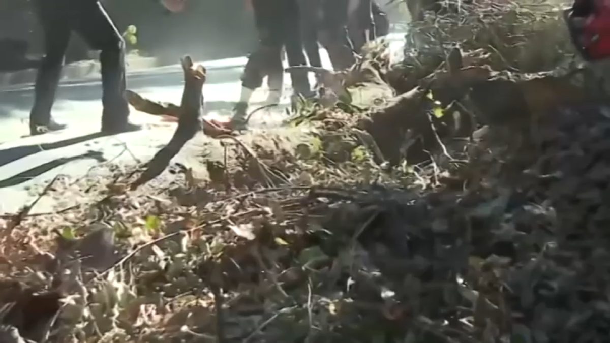 ICE raids target undocumented workers clearing Eaton fire debris in LA recovery zone