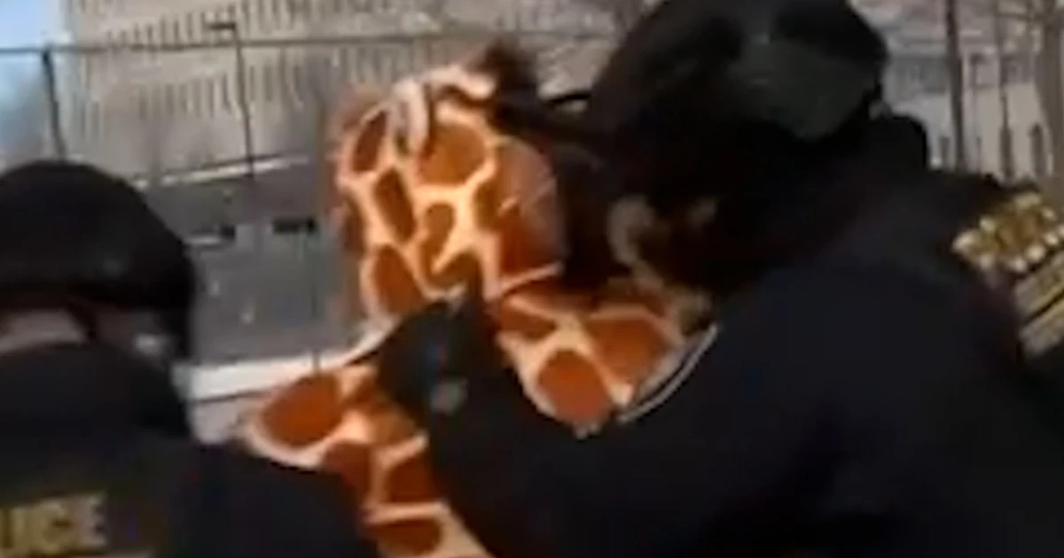 ICE arrests protester in giraffe costume Minneapolis